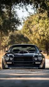 Classic black muscle car waits under sunlit country trees