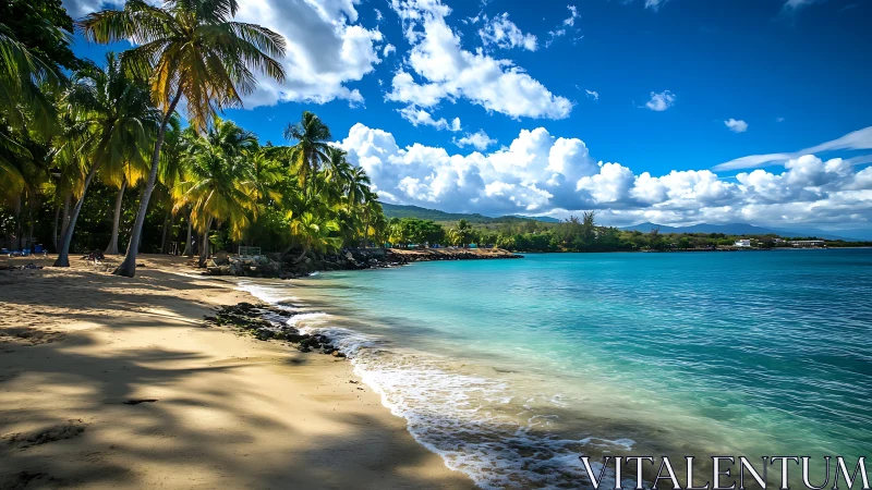 Turquoise Paradise Beach with Palm Trees and Mountain Views