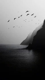 Soaring seabirds drift calmly above misty ocean cliffs