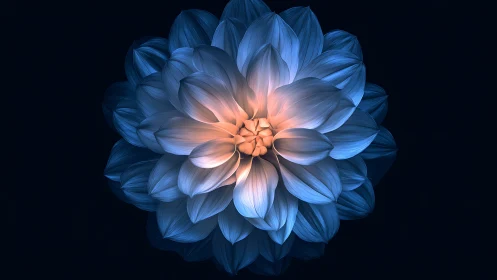 Glowing blue flower with warm illuminated center on black