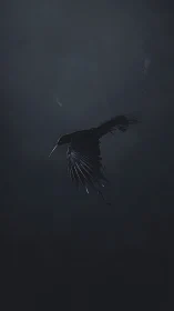 Graceful Bird in Flight Through Misty Darkness