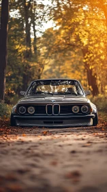 Low-slung vintage BMW coupe framed by autumn forest light.