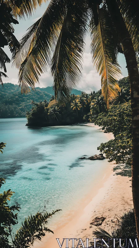 Tropical Beach Cove Framed by Palm Fronds and Turquoise Waters