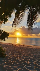 Tropical shoreline sunset under silhouetted palm fronds