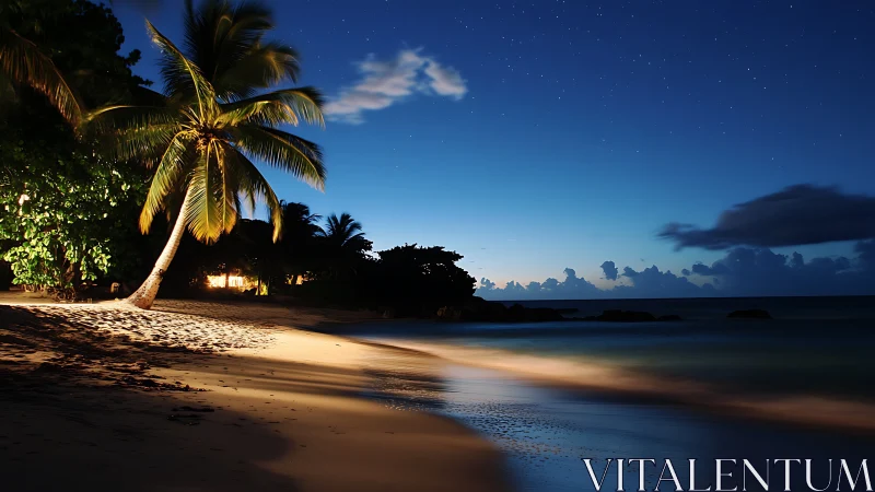 Tropical Night Whispers Where Palm Meets Moonlit Shore