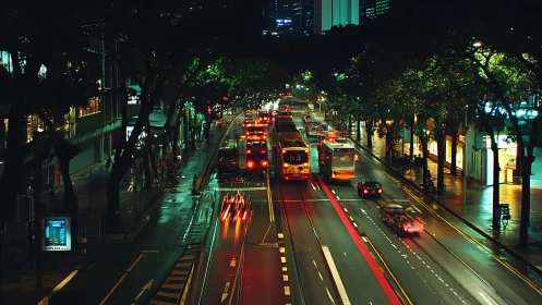 Nighttime urban avenue with traffic and illuminated trees.
