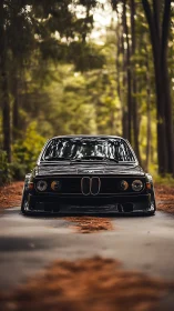 Lowered classic BMW coupe dominates forest backroad