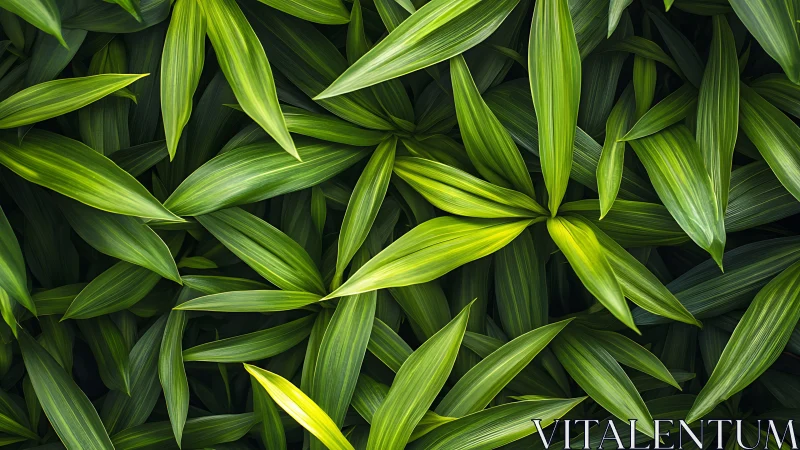 Layered tropical foliage patterns in saturated green tones.