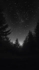 Coniferous Cathedral Under Stellar Vigil.