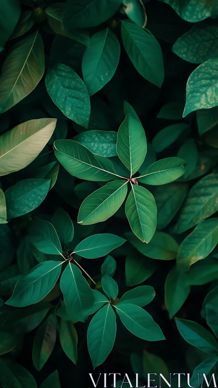 Emerald foliage layers with soft directional forest light.