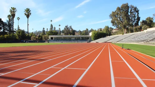 Sunlit athletics track lines lead toward modern stadium stands