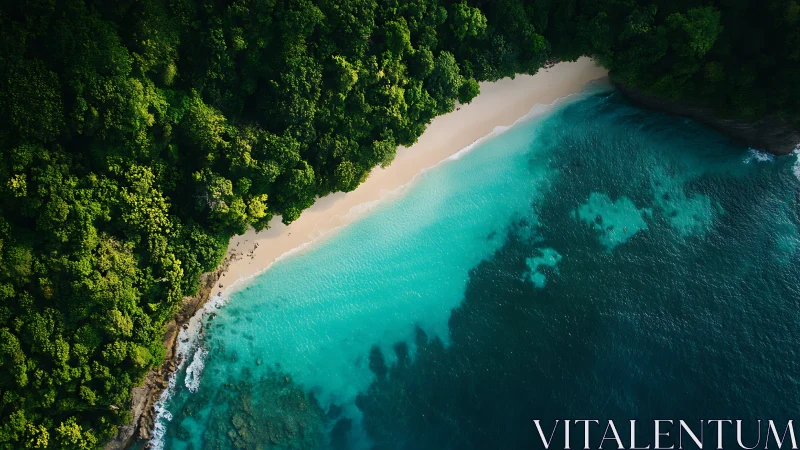 Tropical Coastal Aerial: Dense Rainforest Meeting Turquoise Waters