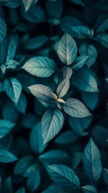 Calm teal leaves offering a quiet moment of gentle focus.
