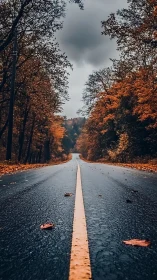 Moody autumn highway stretching into bronze-tinted hush.