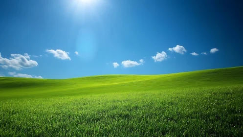 Sunlit grassland slope under clear sky with high dynamic contrast