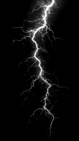 High-contrast fractal lightning discharge on black background.