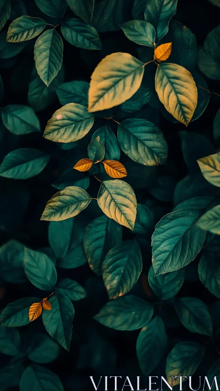 Selective color contrast isolates golden leaves in teal foliage