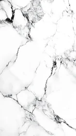 Marble daydream with wandering black veins in quiet orbit.