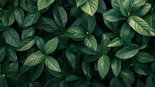 Dense emerald foliage pattern with layered botanical leaves.