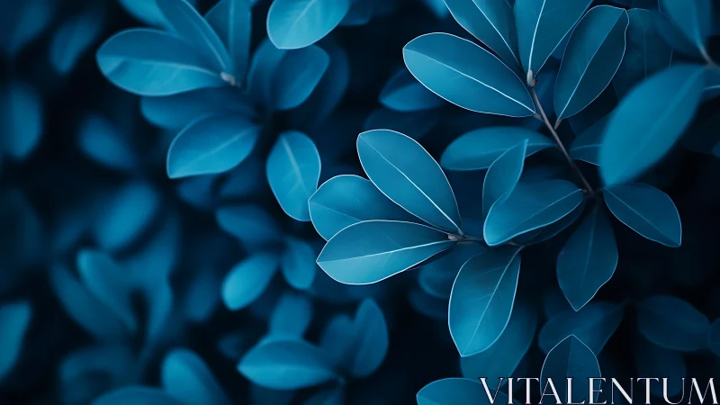 Midnight blue leaves quietly rehearse their lunar glow