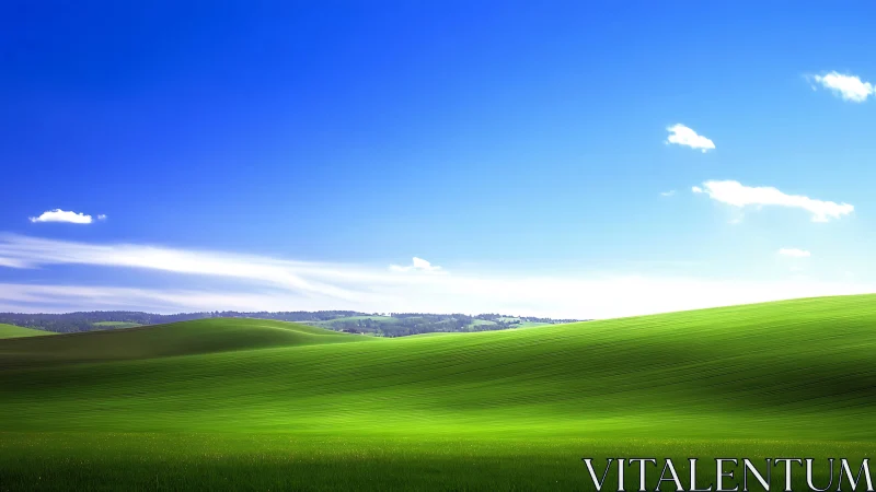 Grassy rolling hills under clear blue daytime sky panorama.