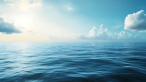 Horizon-level view records open ocean under clear daylight sky