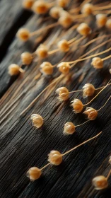 Dried seed pods scattered across dark wooden surface.