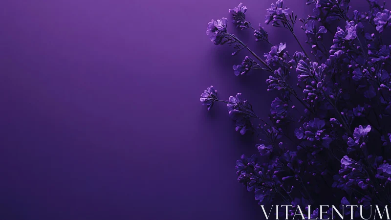 Purple Floral Composition Against Monochromatic Background.