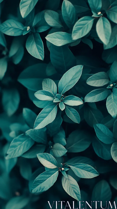 Quiet teal leaves rehearse a soft forest lullaby together