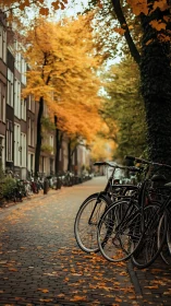 Urban Cycling Path with Golden Autumn Foliage Canopy.