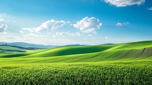 Sunlit green hills roll under deep blue spring sky.