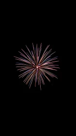 Radiant single firework blooming in a clear night sky.