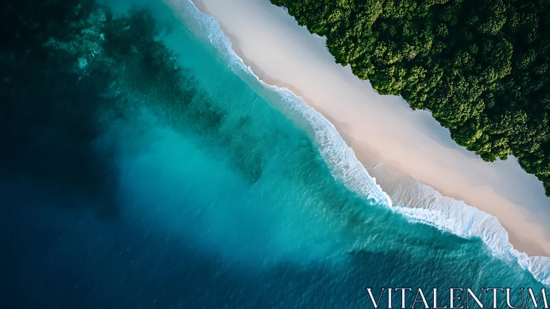 Coastal Symphony: Where Emerald Waves Meet White-Sand Dreams.