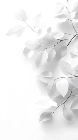 White botanical branches cast soft sculptural shadows.