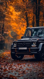 Black SUV stands on leaf covered forest road in autumn
