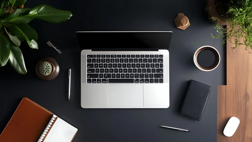 Minimal laptop workspace balances tech, plants, and stationery