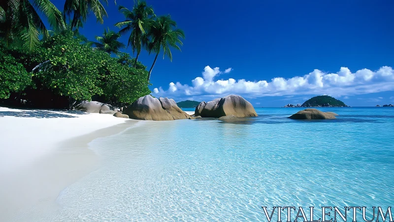 Tropical Seascape with Granitic Boulders: Turquoise Lagoon Framed by Palm Vegetation