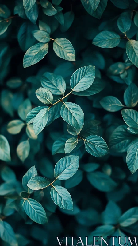 Gentle teal leaves offering a quiet moment of calm focus.