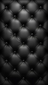 Black tufted leather upholstery shows high-gloss tonal modeling