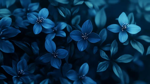 Midnight blue blossoms glow softly against dark foliage.