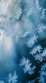 Snowflake constellations drift softly through Arctic blue
