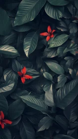 Scarlet whispers bloom boldly inside a deep emerald thicket