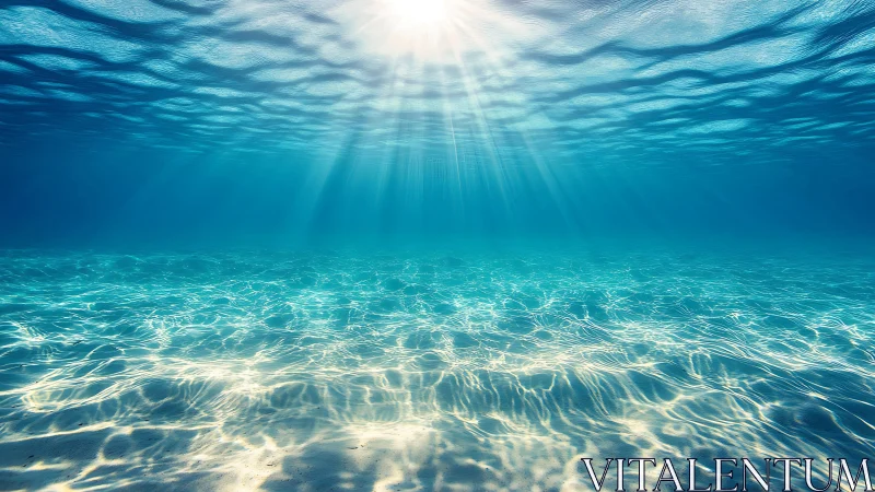 Sunlit shallow seafloor with radiant caustic light patterns.