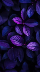 Ultraviolet foliage study with high-contrast nocturnal tones.