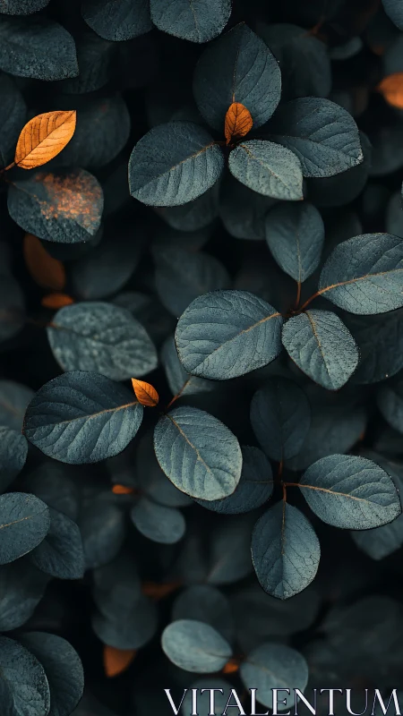 Muted teal foliage glows with scattered copper leaves in shadow