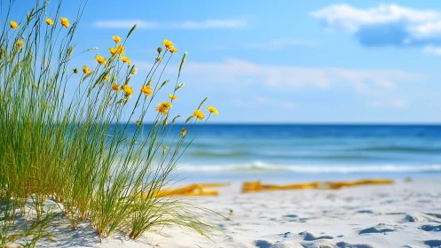 Coastal dune florals with shallow depth-of-field framing.