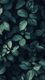 Midnight garden leaves murmuring in deep teal hush.