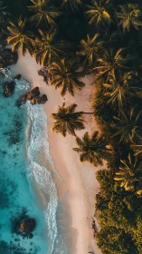 Tropical Paradise: Where Golden Palms Meet Turquoise Waves.