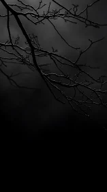 Thin bare branches extend diagonally across a dark frame