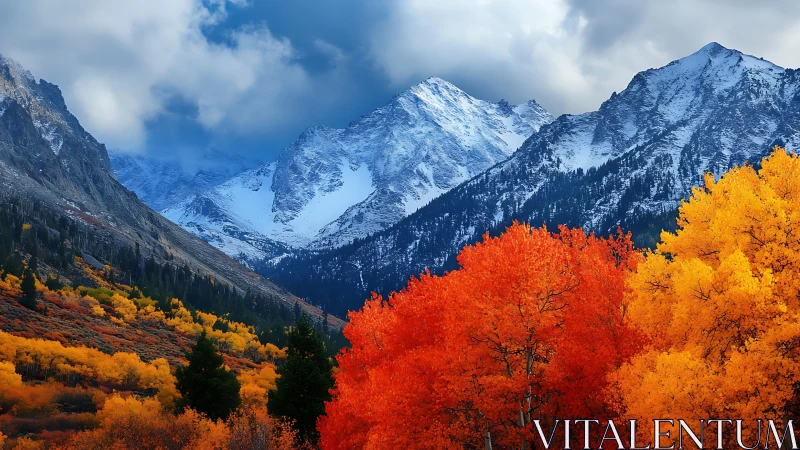 Snowcapped alpine peaks with vibrant autumn aspen forest foreground.